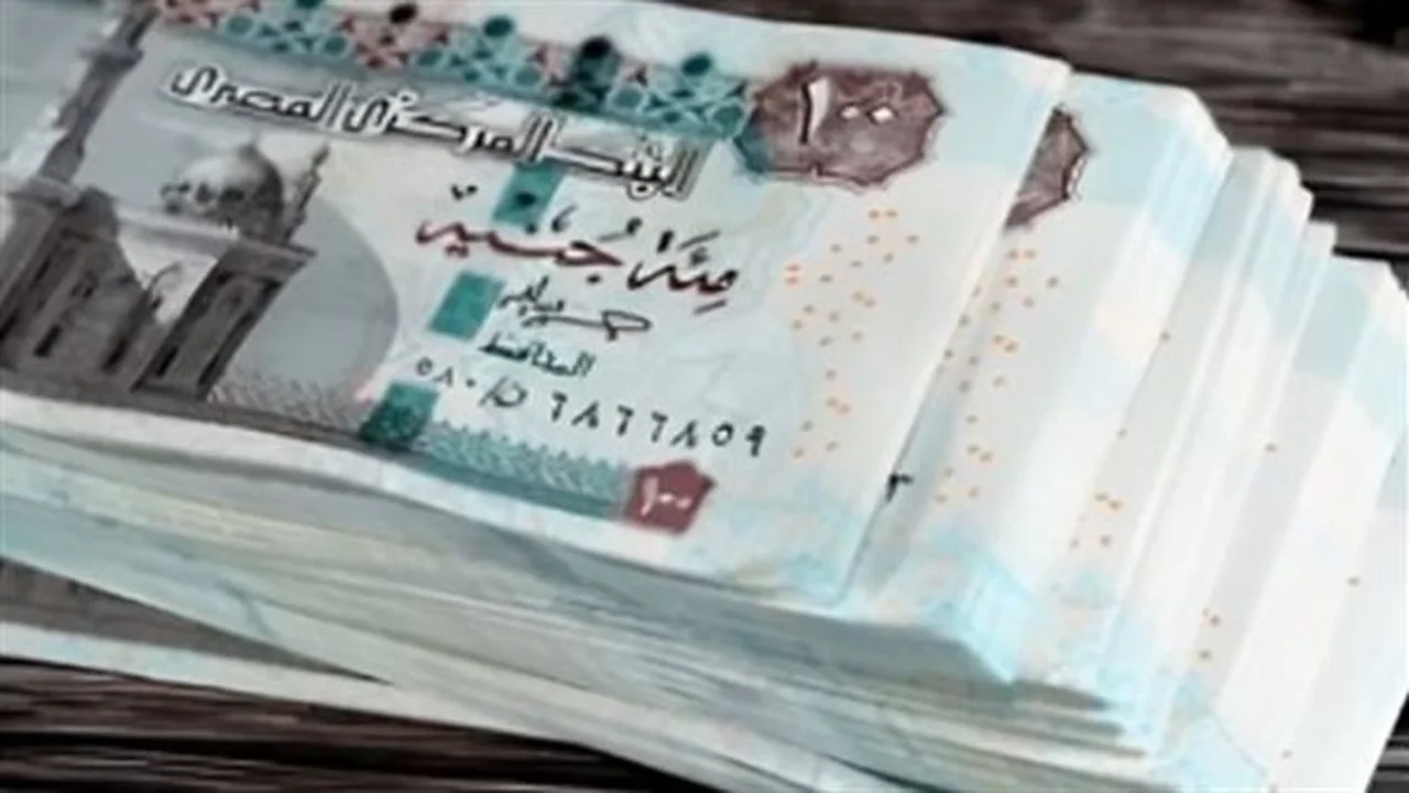 استمرارية الدعم.. خطوات ضمان استحقاقك في تكافل وكرامة